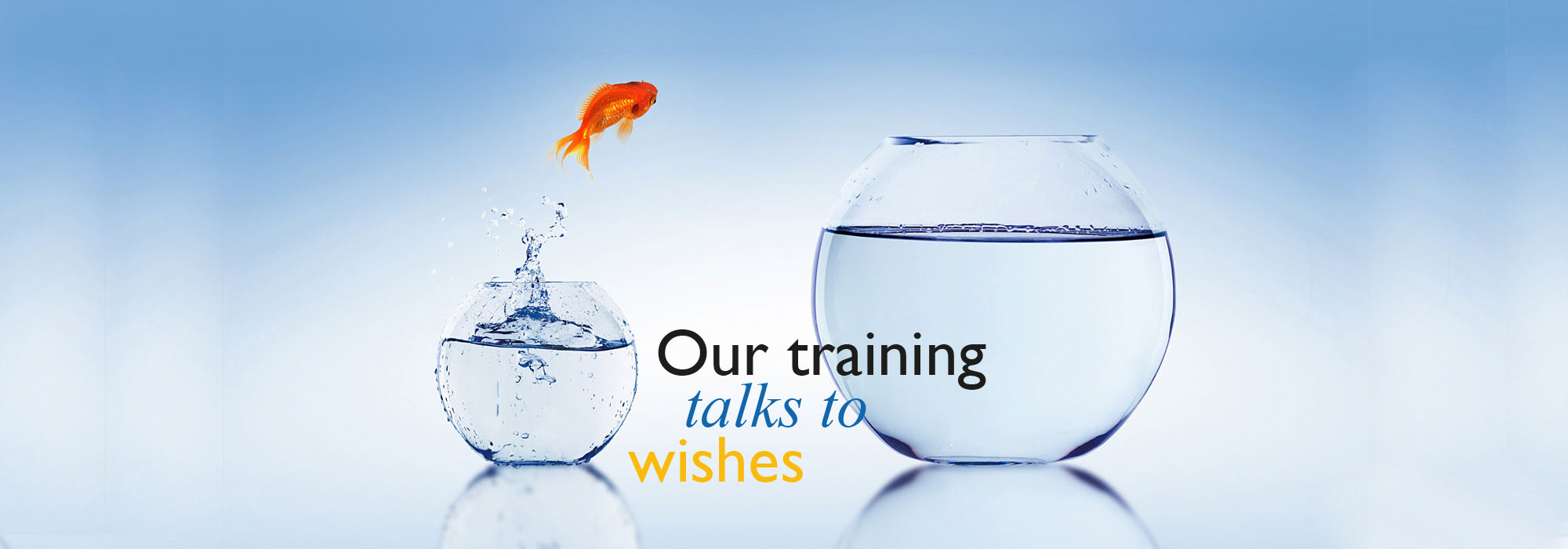 our training talk to wishes